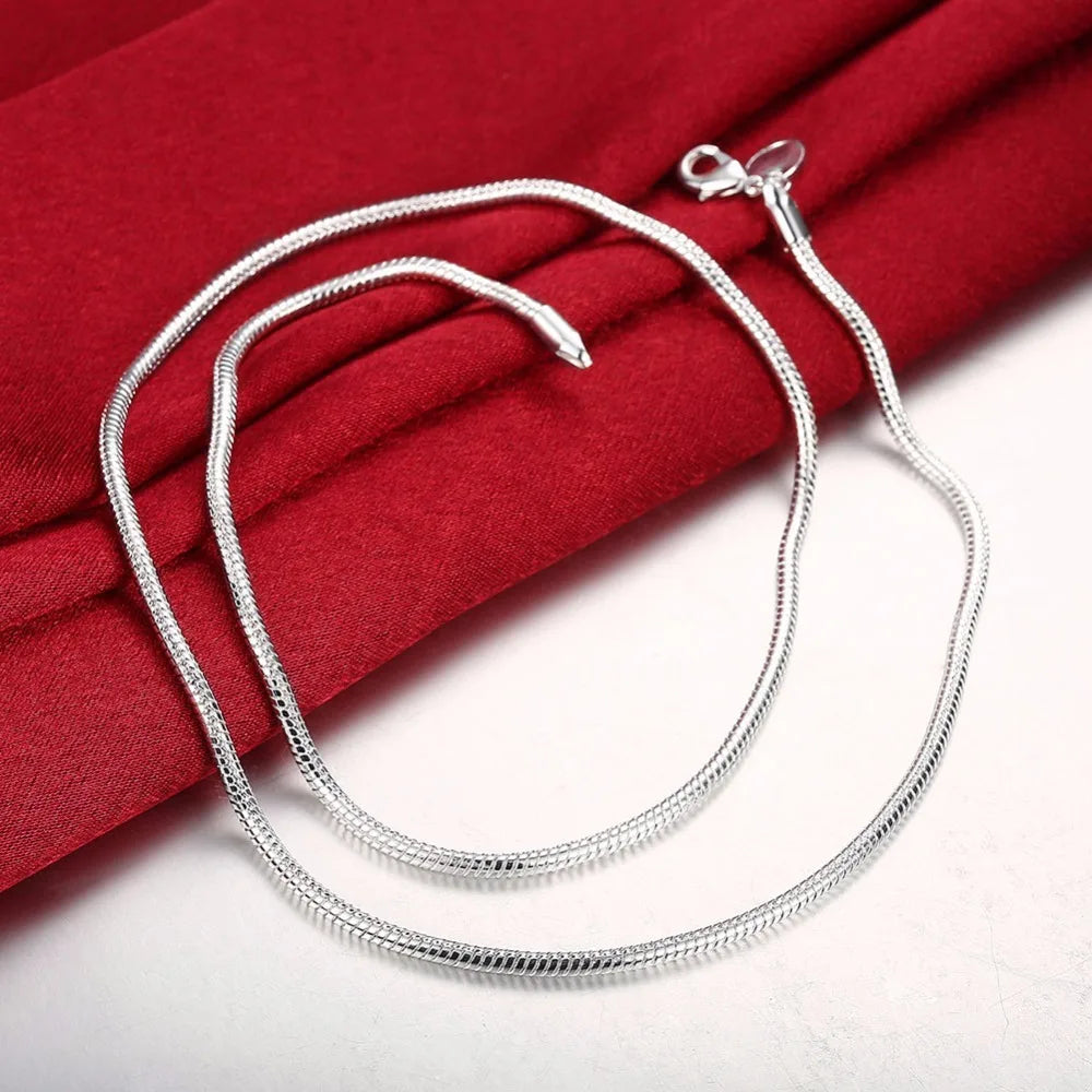 Lekani New Men Jewelry 925 Silver Necklace 2mm Thick Chain Snake Necklace Wholesale Male Jewelry